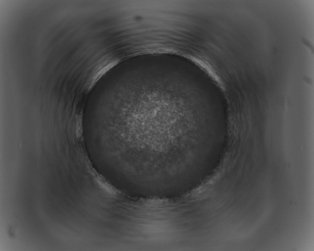 X0000093160889200709261507