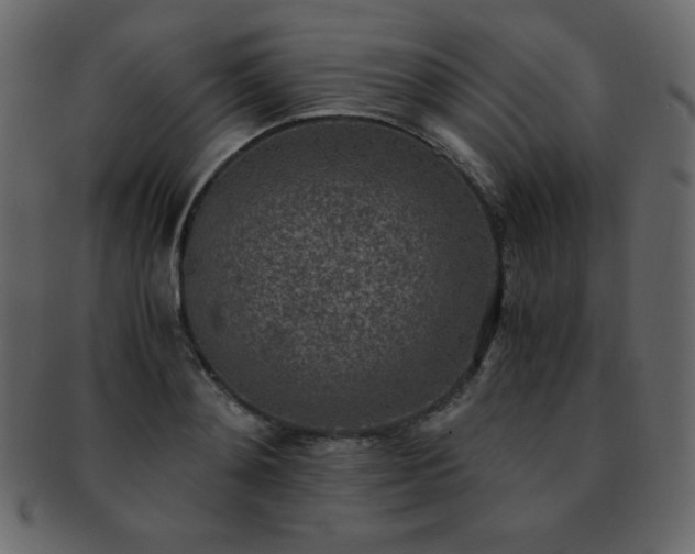 X0000093160892200709261506