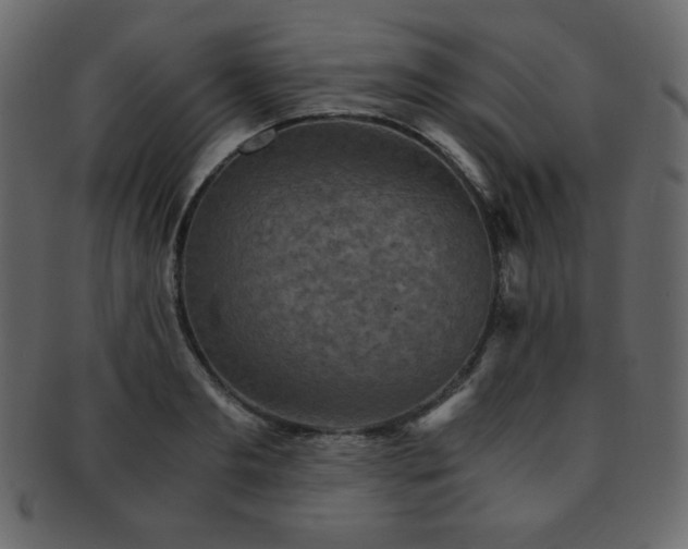 X0000093160893200709261506