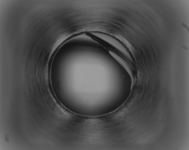 X0000093160894200709261506