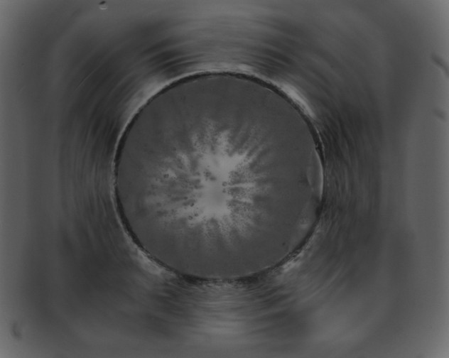 X0000093160895200709261506