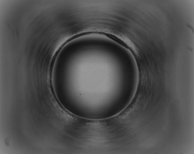 X0000093160896200709261506