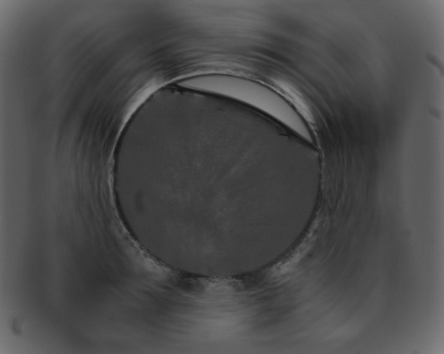 X0000093160899200709261506