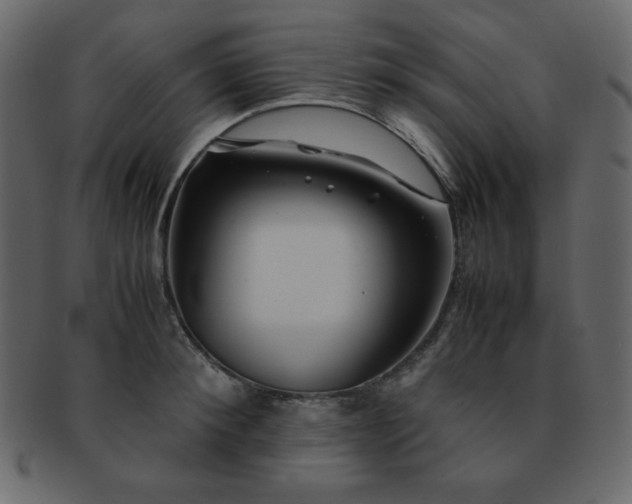 X0000093160900200709261506