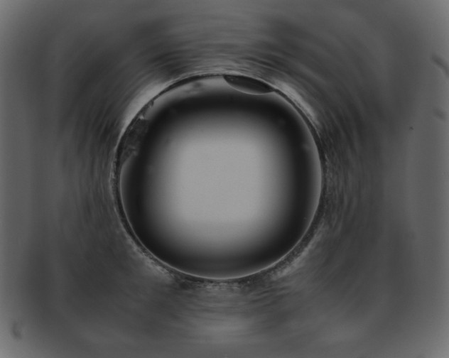 X0000093160901200709261506