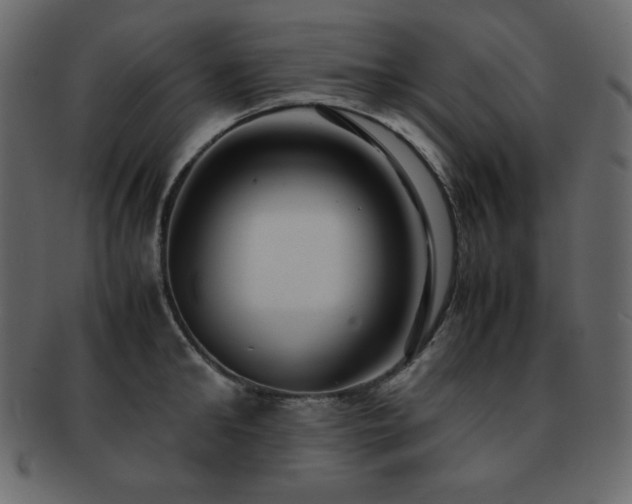X0000093160902200709261506