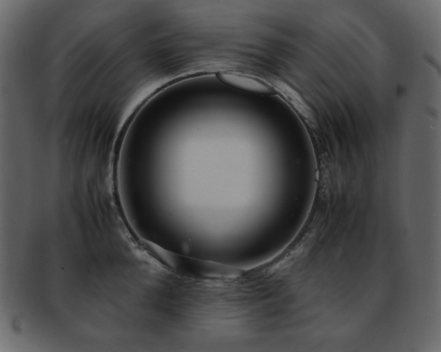 X0000093160904200709261506