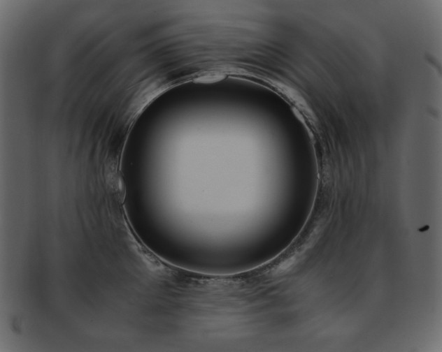 X0000093160905200709261506