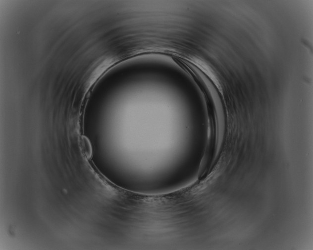 X0000093160906200709261506