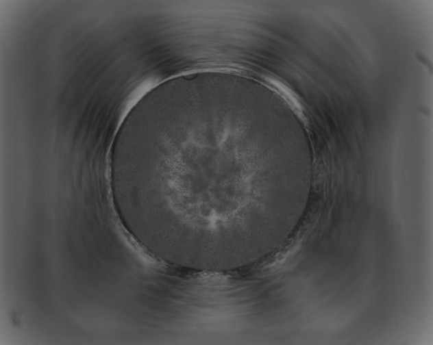 X0000093160907200709261506