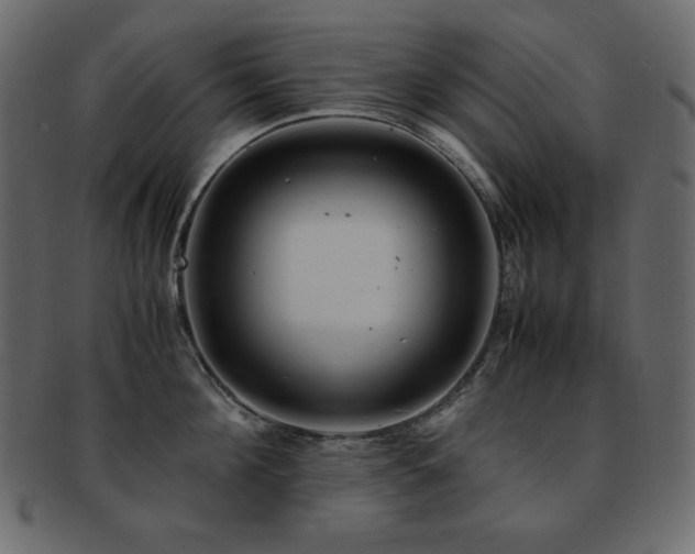 X0000093160908200709261506