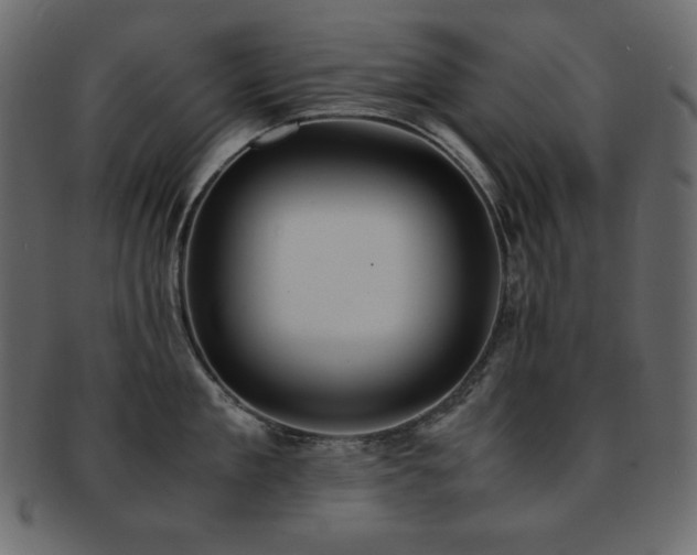X0000093160909200709261506