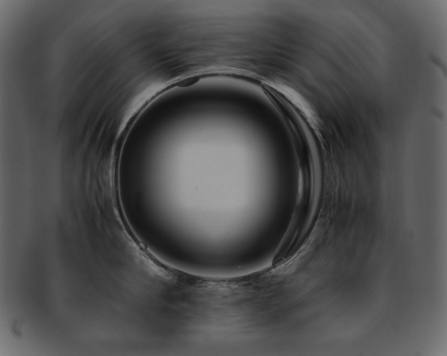 X0000093160910200709261506