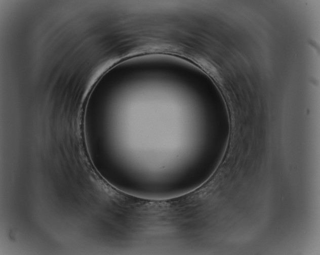 X0000093160912200709261506