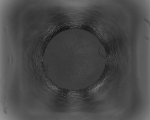 X0000093160913200709261506