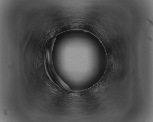 X0000093160914200709261506