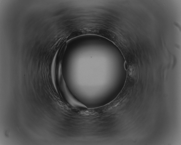 X0000093160915200709261506