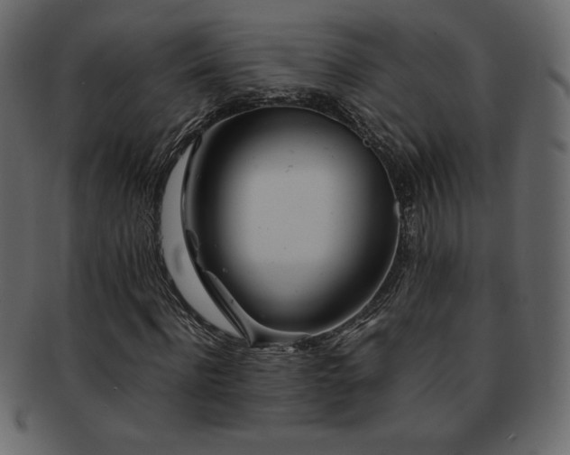 X0000093160916200709261506