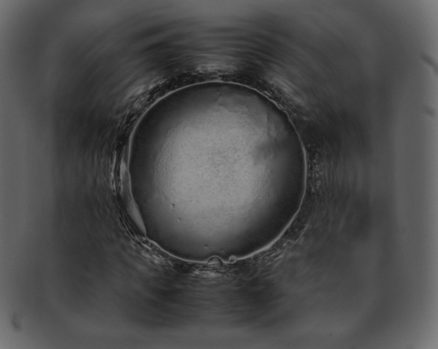 X0000093160917200709261506