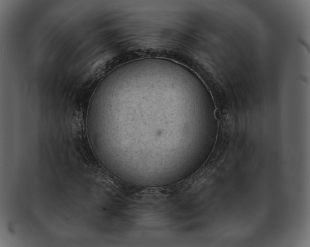 X0000093160918200709261506