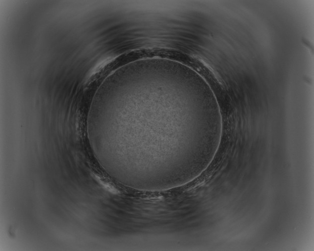 X0000093160919200709261506