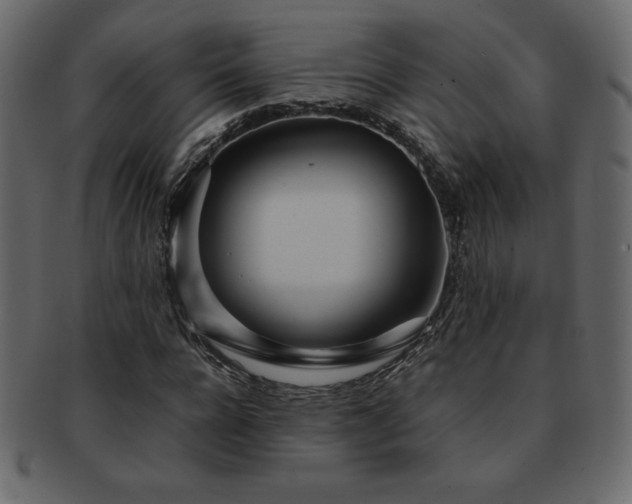 X0000093160920200709261506