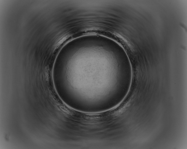 X0000093160921200709261506