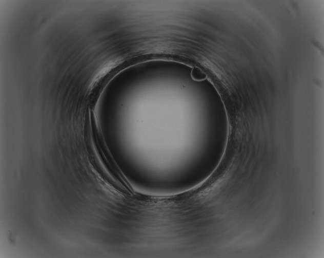 X0000093160922200709261506
