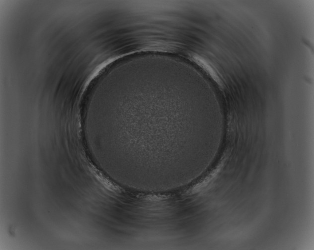 X0000093160923200709261506
