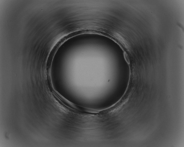X0000093160924200709261506