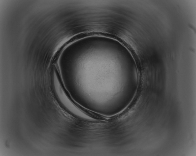 X0000093160925200709261506