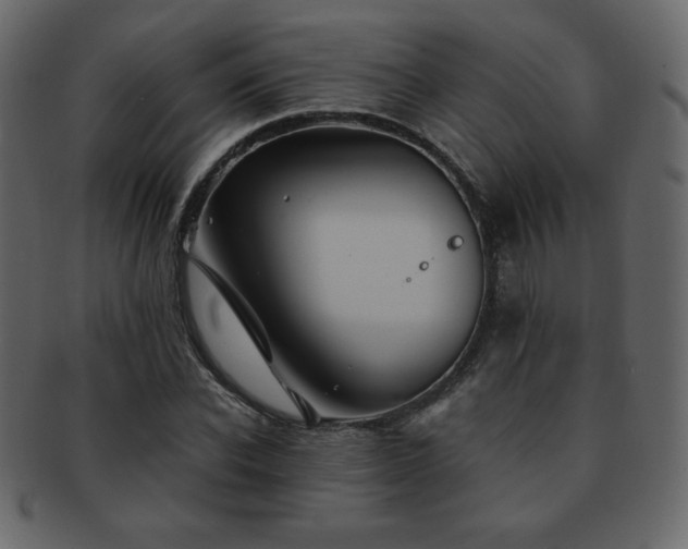 X0000093160926200709261506