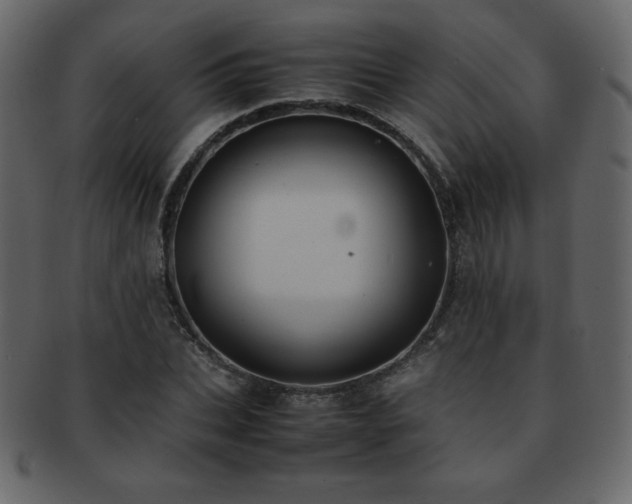 X0000093160927200709261506