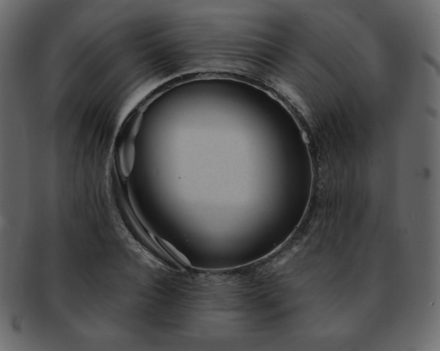 X0000093160928200709261506