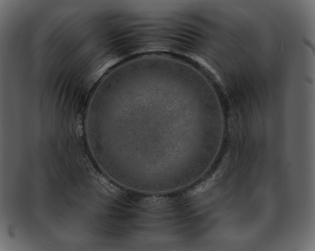 X0000093160929200709261506