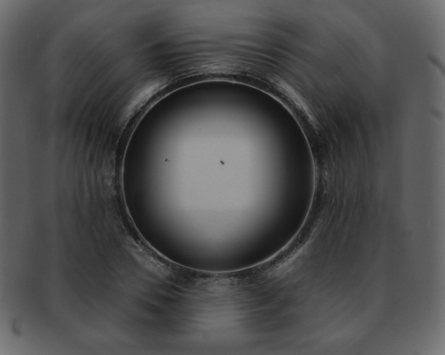 X0000093160930200709261506