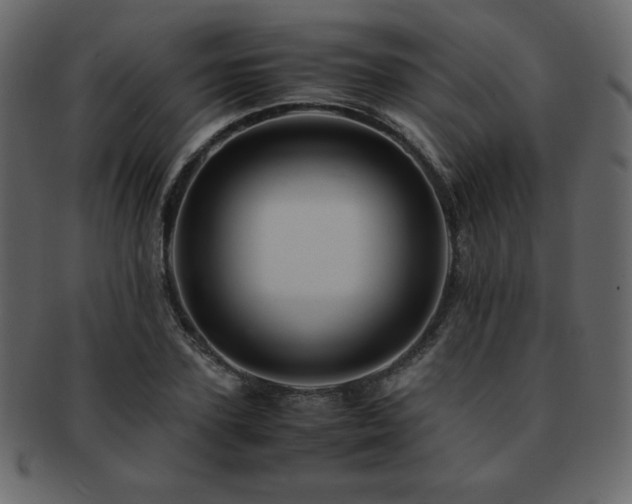 X0000093160931200709261506