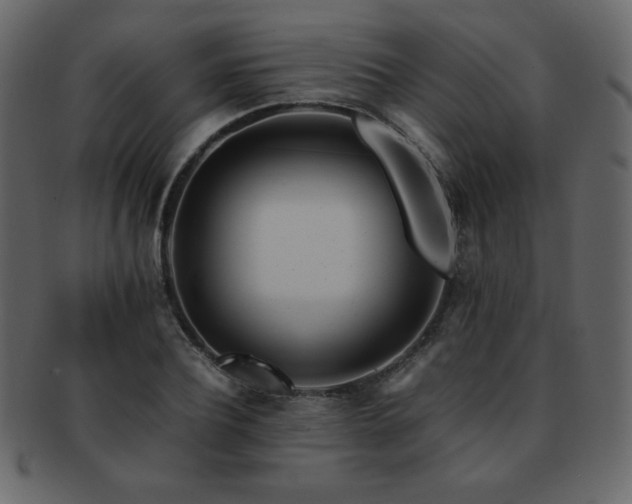 X0000093160932200709261506