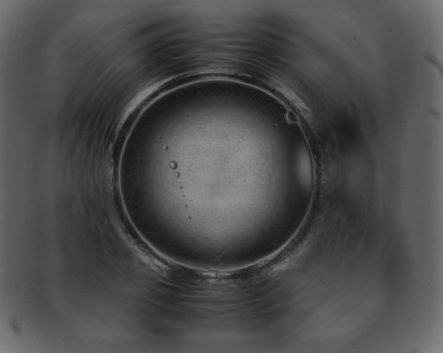 X0000093160933200709261506