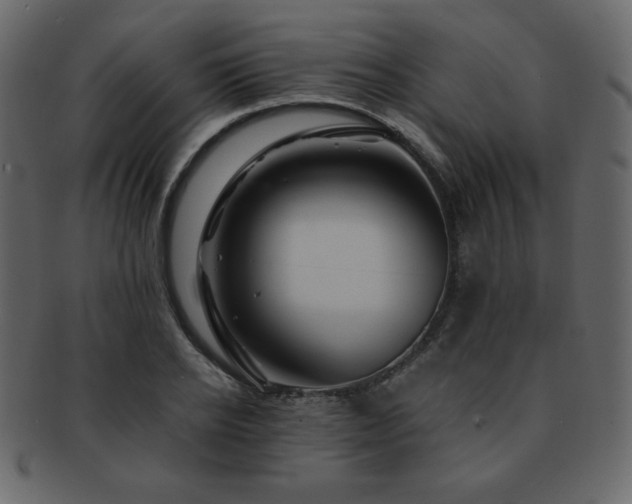X0000093160934200709261506