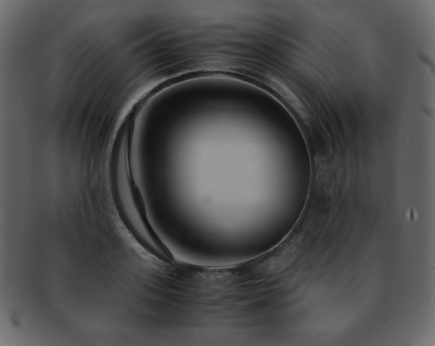 X0000093160939200709261506