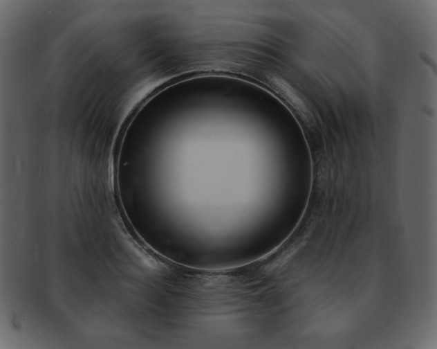 X0000093160940200709261506