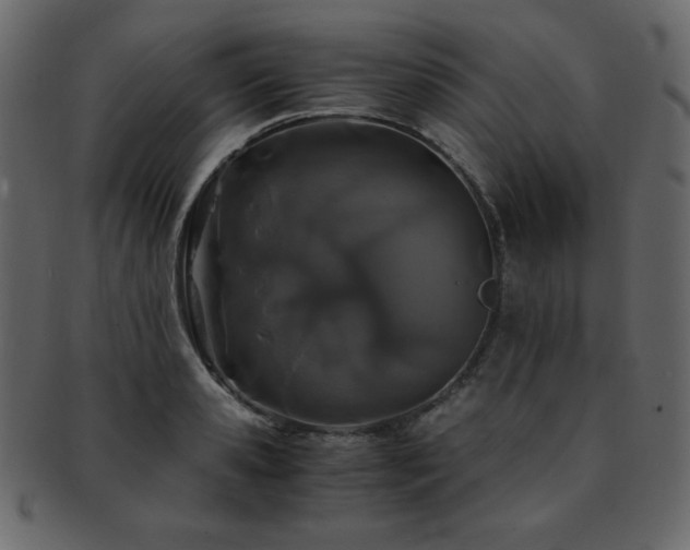 X0000093160941200709261506