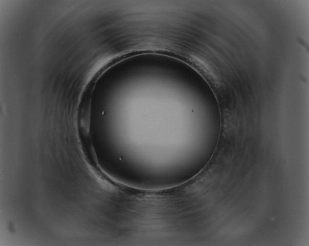X0000093160942200709261506