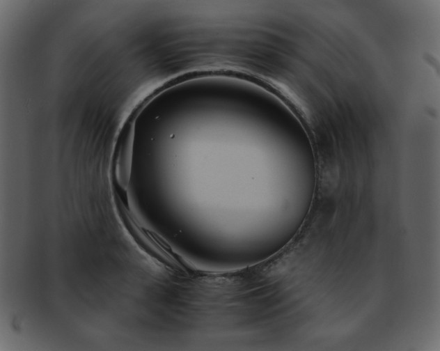 X0000093160943200709261506