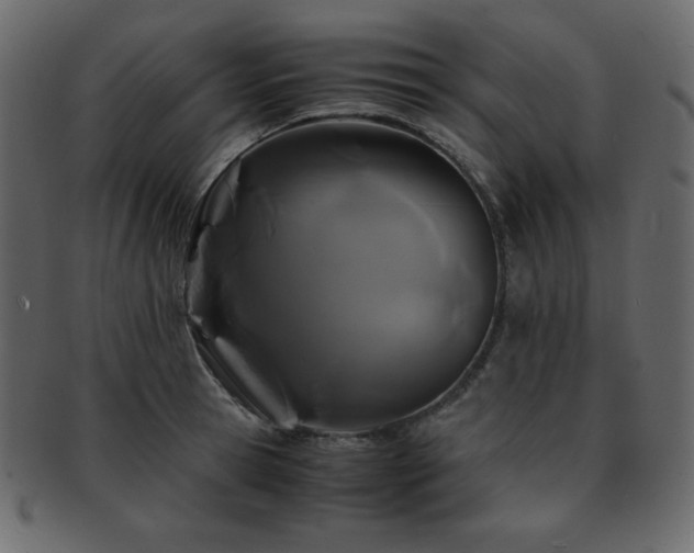 X0000093160945200709261506