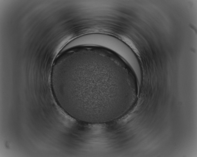 X0000093160946200709261506