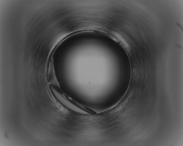 X0000093160948200709261506