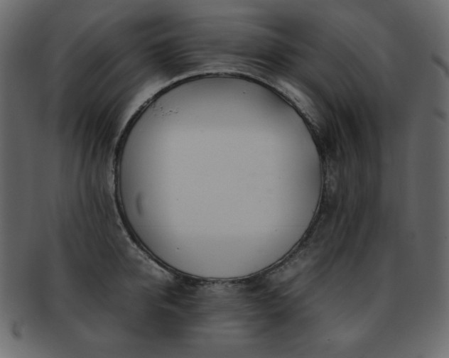 X0000093160950200709261506