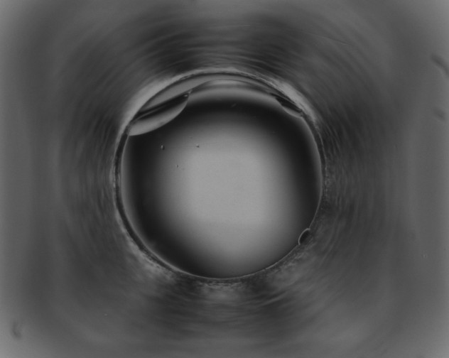 X0000093160951200709261506